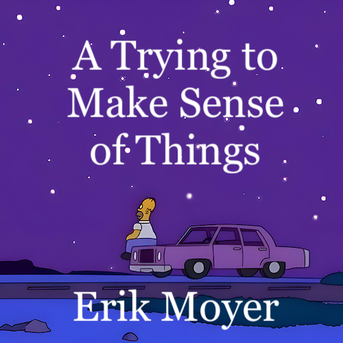 A Trying to Make Sense of Things