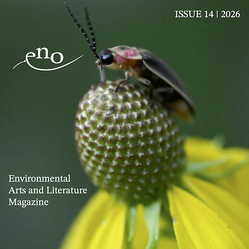 Eno Magazine
