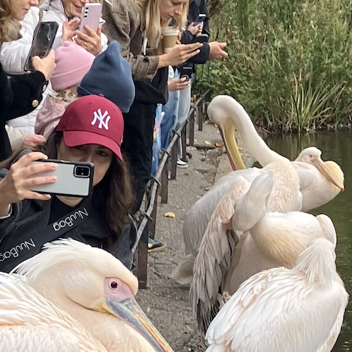 Light Poetry Magazine