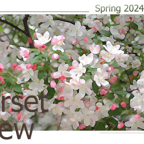 The Summerset Review